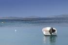 IMG_2592a