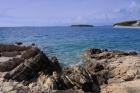 IMG_2654a