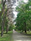 Alytus Park