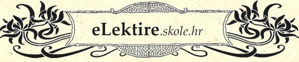 projekt elektire
