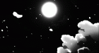 Gif