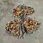 Land Art
