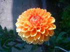 Lucija Perica - 5. Razred