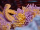 DSC07196