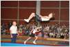 Gimnastika Sekcija
