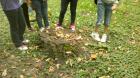 2014-10-15-3324