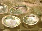 Image011