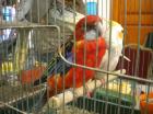 Picture 011