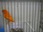 Picture 015