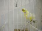 Picture 021