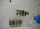 Picture 022