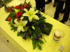 Picture 003