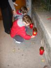 Picture 011