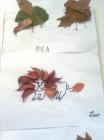 Slika0920