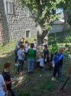 Viber_slika_2019-10-25_12-54-58