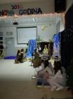 IMG-04e56bbdc3d36b797df5a047bd53ef48-V