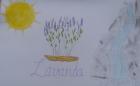 IMG-F839809ab3a119427a3f64268a3d5237-V