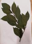 IMG_20200518_091036