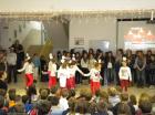 Picture 013