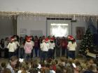 Picture 033