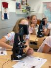IMG-20220520-WA0027