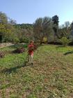 IMG-20221015-WA0012