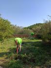 IMG-20221015-WA0025