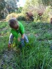 IMG-20221015-WA0026