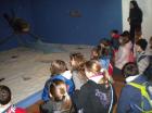 Picture 002