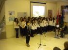 Picture 017