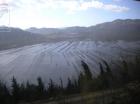 Picture 003