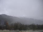 Picture 004