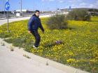 Picture 007