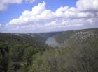 Picture 008