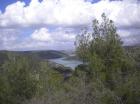Picture 009