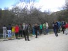 Picture 011