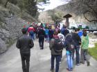 Picture 012