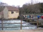 Picture 015
