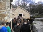 Picture 016
