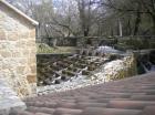 Picture 017