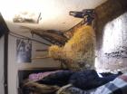 Picture 023