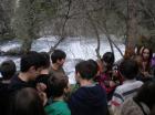 Picture 032
