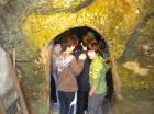 Picture 035