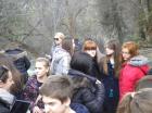 Picture 040