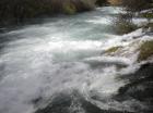 Picture 043