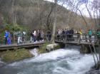 Picture 044