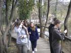 Picture 045