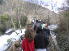 Picture 047