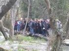 Picture 051
