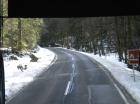 Picture 004